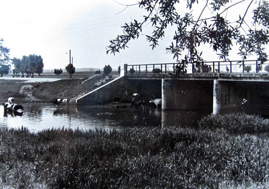 Kalvarija, tiltas per Šešupę 1960