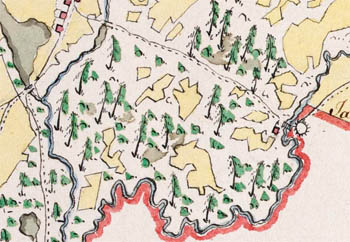 Карта лесничества Котранского